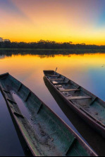 Imagen de Las islas más salvajes: Islas fluviales amazónicas: los bosques flotan - 4