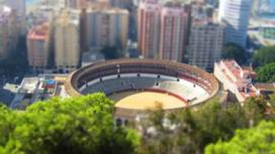 Imagen de Vaquillas (T2025): Feria Taurina de la Albahaca 2025 - 5