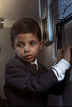 Imagen de Cinema Paradiso - 8