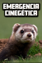 Imagen de Emergencia cinegetica - 4