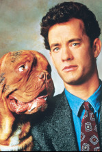 Imagen de Socios y sabuesos - 4