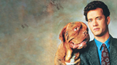 Imagen de Socios y sabuesos - 5