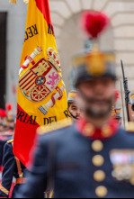 Imagen de Desfile Militar Dia Fuerzas Armadas - Santa Cruz De Tenerife - 4