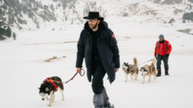 Imagen de Sauerdogs - 5