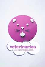 Imagen de Veterinarios de Extremadura - 4
