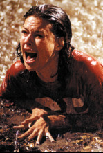 Imagen de Poltergeist: Fenómenos extraños - 13