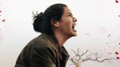Imagen de Blood de Brad Anderson - 5