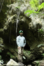 Imagen de Los tesoros perdidos...: Los secretos del inframundo - 6