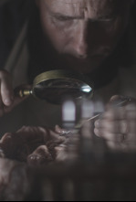 Imagen de Crímenes victorianos - 4