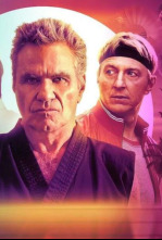 Imagen de Cobra Kai (T5): Ep.8 Taikai - 9