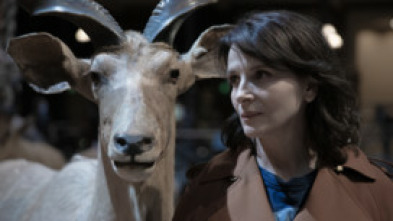 Imagen de La fàbrica de les...: Episodi 2 - 5