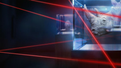Imagen de El gran robo de rinocerontes  - 7