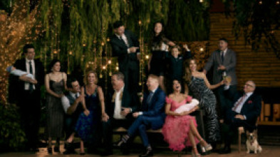 Imagen de Modern Family (T11): Ep.15 El escalón - 5