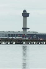Imagen de Control de...: Armas en Miami - 5