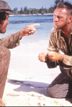 Imagen de Papillon - 4