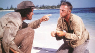 Imagen de Papillon - 5