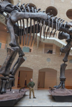 Imagen de Dinosaurios del...: Ep.2 - 4