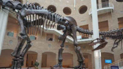 Imagen de Dinosaurios del...: Ep.2 - 5