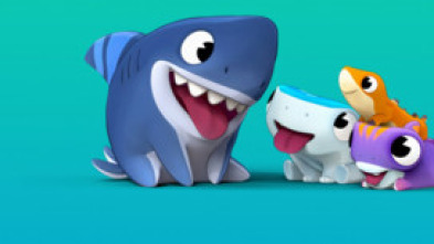 Imagen de Tibucán (T1) - 6