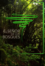 Imagen de El señor de los bosques (T3) - 4