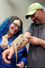 Imagen de Veterinarios de... (T4): Las gallinas se complican - 5