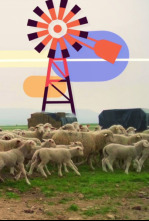 Imagen de Maestr@s del campo - 4