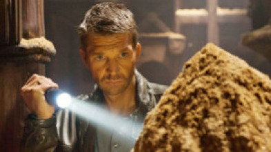 Imagen de El código de Carlomagno III: La cámara de ámbar - 5