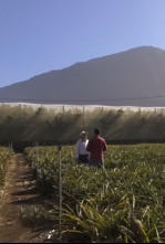 Imagen de Andaluces por España (T4): Denia - 4