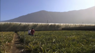 Imagen de Andaluces por España (T4): Denia - 5