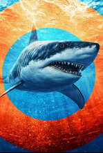 Imagen de Plaga de tiburones (T2): Tiburón: en el ojo de la tormenta - 4