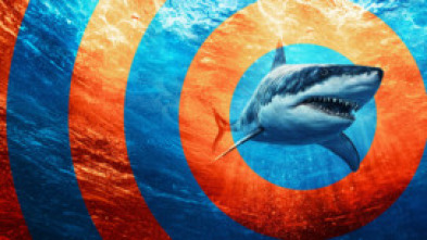 Imagen de Plaga de tiburones (T2): Tiburón: en el ojo de la tormenta - 5