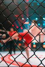 Imagen de UFC Fight Night:... (2020): Dustin Poirier vs Dan Hooker - 4