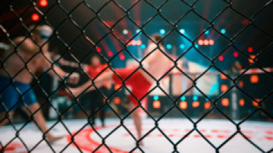 Imagen de UFC Fight Night:... (2020): Dustin Poirier vs Dan Hooker - 5