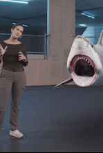 Imagen de Ataque de tiburón 360  - 5