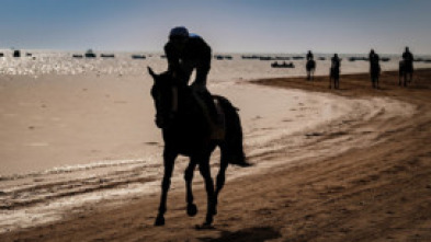 Imagen de Carreras de Caballos de Sanlúcar - 5