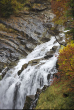 Imagen de De parque en parque: Parque Nacional de Garajonay - 4