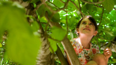 Imagen de Lava - 5