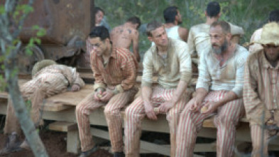 Imagen de Papillon - 5