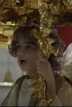 Imagen de Festes Elx - 4