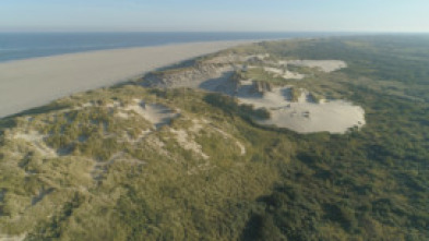 Imagen de Los paises bajos salvajes. Un pais bajo el nivel del mar - 5