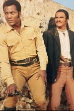 Imagen de 100 Rifles - 4