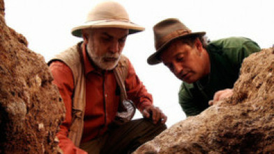 Imagen de Sota terra (T1): Abric Romaní: l'hostal dels neanderthals - 5