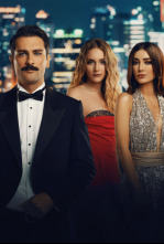 Imagen de Verdad oculta (T1): Ep.4  - 4