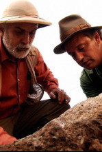 Imagen de Sota terra (T1): Santa Maria de Vallsanta: El monestir dels enigmes - 4