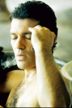 Imagen de Pecado original - 4