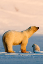Imagen de La reina sin tierra - 4