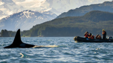 Imagen de Encuentros muy salvajes: Allí abajo - 6