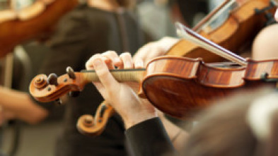 Imagen de Concert OBC a la platja 2025 - 5