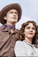 Imagen de Duelo al sol - 4