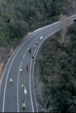 Imagen de Camí de Marina. Un conte sobre la voluntat - 4
